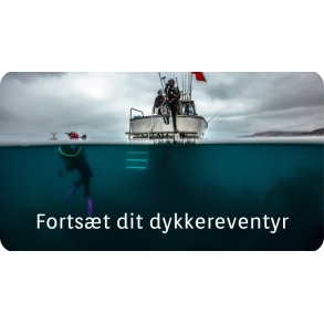 Forts&aelig;t dit dykkereventyr