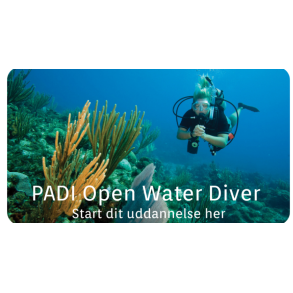 Open Water Diver kurser 18m