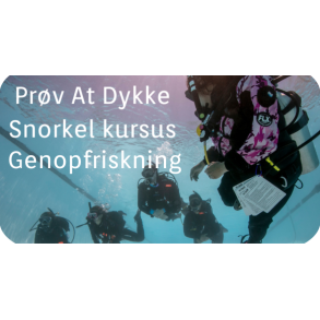 Pr&oslash;v at dykke, Genopfriskning, Snorkelkurser & Dykkerterapi