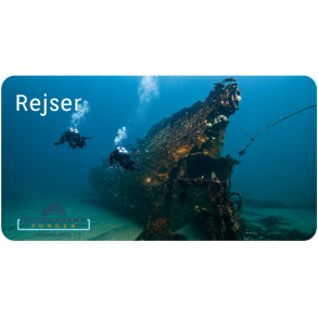 Rejser
