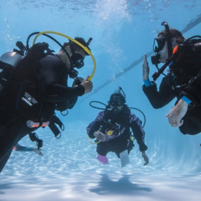 PADI REFERRAL OWD KUN TEORI og POOL