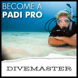 Divemaster