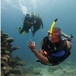 Divemaster