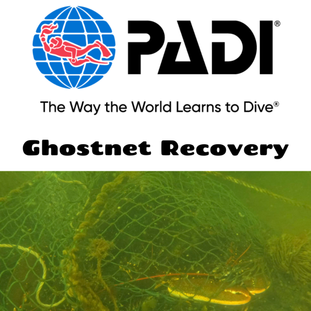 Ghostnet recovery