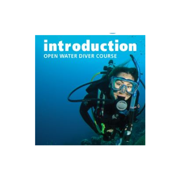 GRATIS Information om PADI OWD kurset