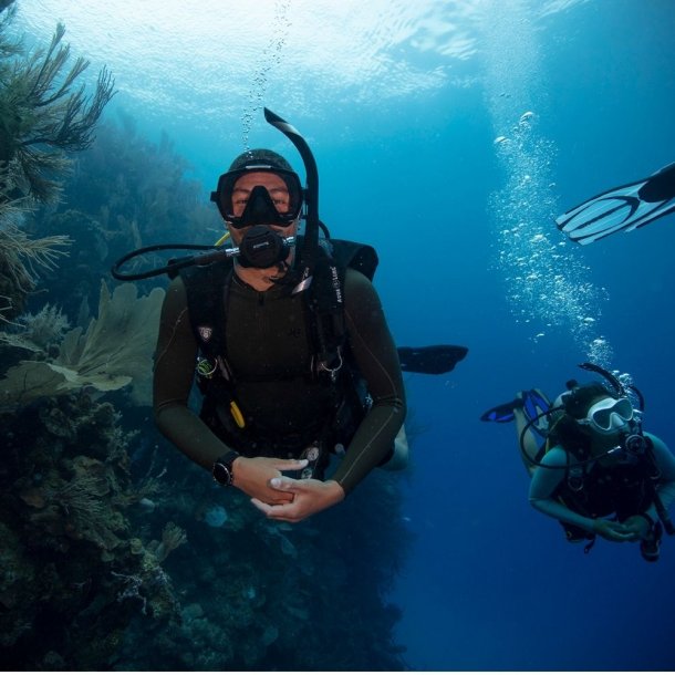 PADI REFERRAL OWD BENVANDS MODULERNE 1-4