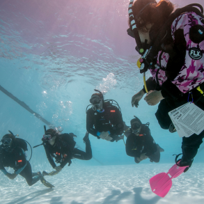 Prv at dykke kurser i 2026